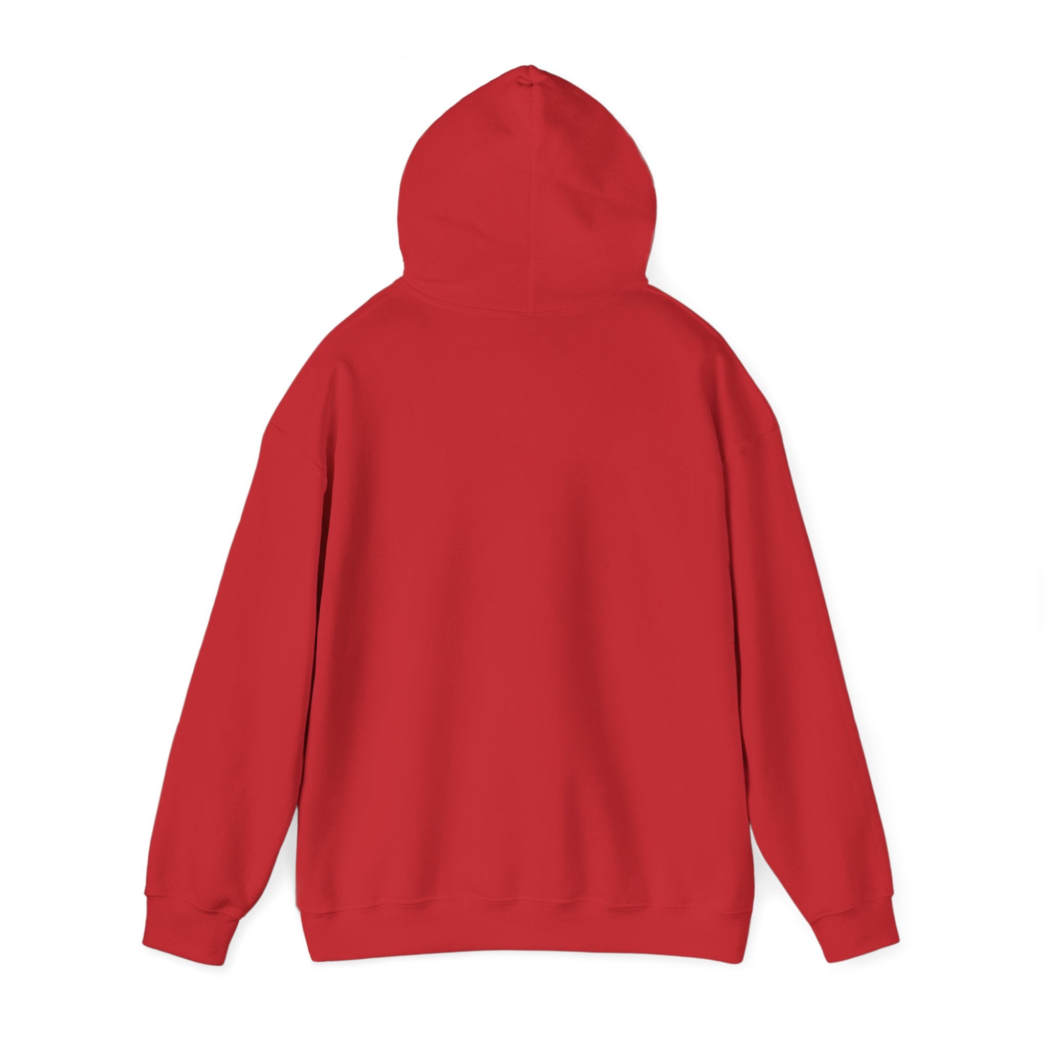 Stronger Than The Storm Hoodie — Inspirational Motivational Pullover