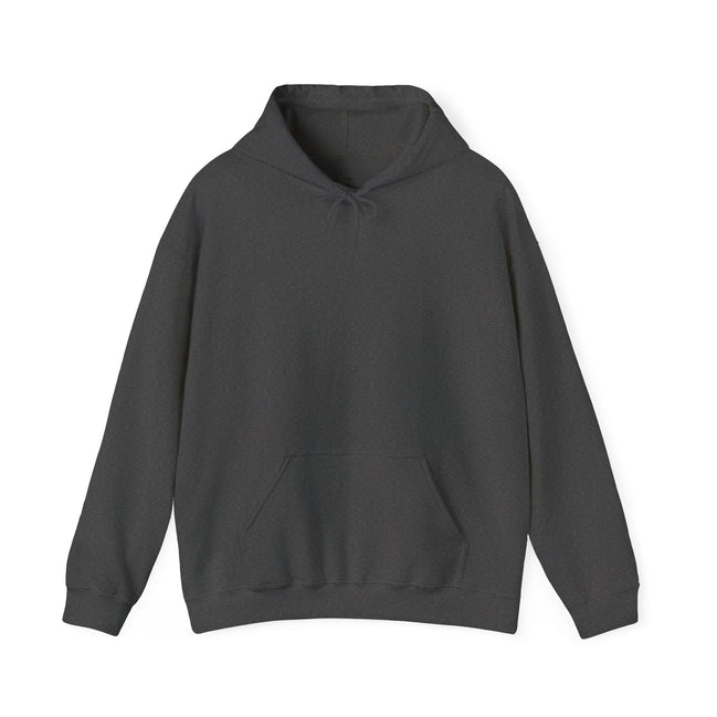 Men's Compass Rose Hoodie — "Let Your Past Be Your Compass, Not Your Anchor" Inspirational Graphic Hoodie